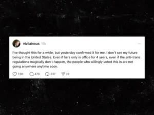 The daughter of Elon Musk says she is leaving the United States. because Trump's supporters are here to stay, despite the fact that his reign is only ephemeral.