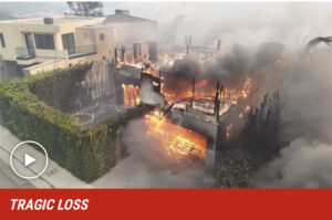 Leighton Meester, Adam Brody, and Anna Faris Lose Their Homes in a Pacific Palisades Wildfire